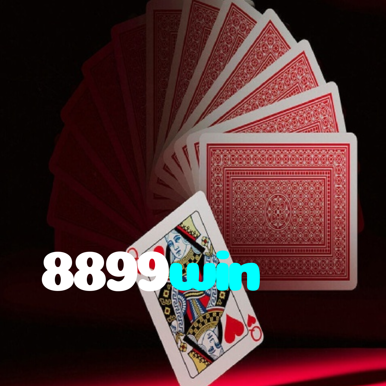 8899win