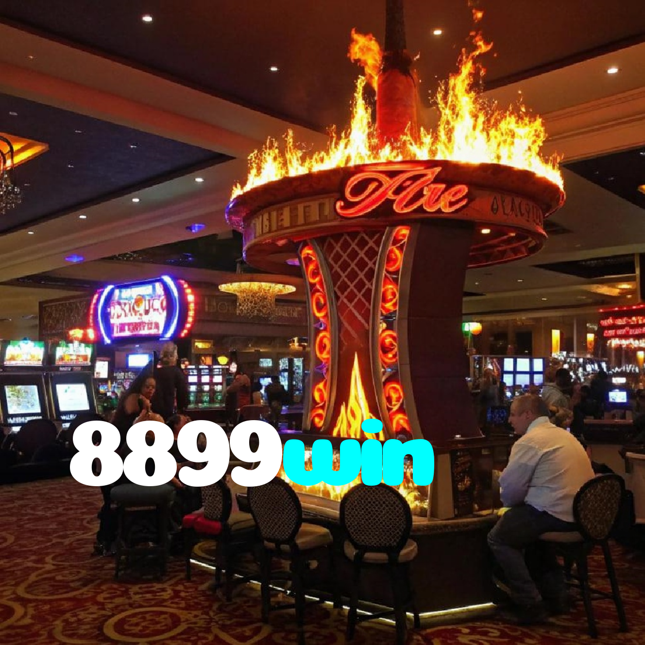 8899win