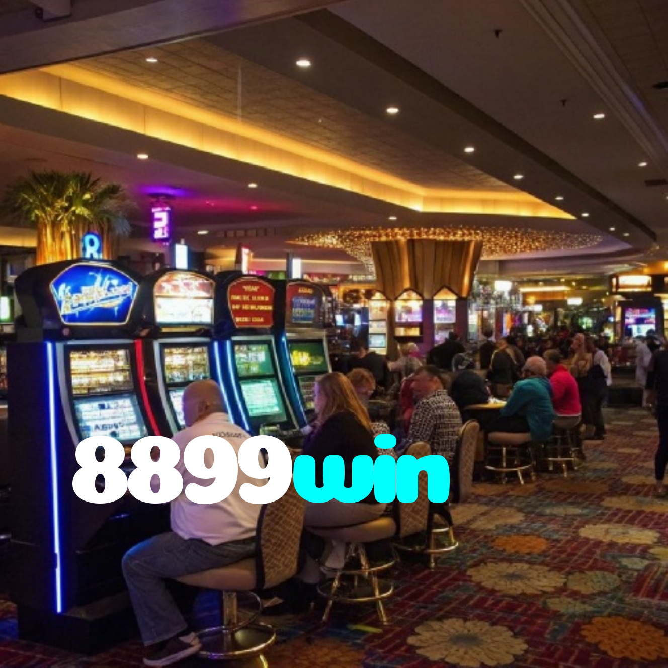 8899win